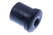 Lagerung, Blattfeder hinten DENCKERMANN D300443