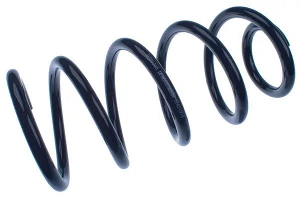 Fahrwerksfeder Hinterachse DENCKERMANN D700105