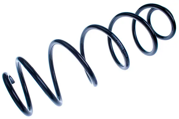 Fahrwerksfeder Hinterachse DENCKERMANN D700164