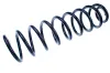 Fahrwerksfeder Hinterachse DENCKERMANN D700196