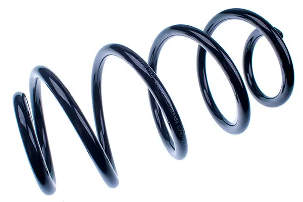 Fahrwerksfeder Vorderachse DENCKERMANN D700290