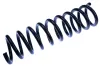 Fahrwerksfeder Hinterachse DENCKERMANN D700407