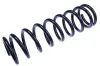Fahrwerksfeder Hinterachse DENCKERMANN D700599