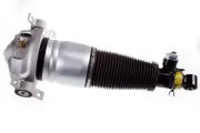 Luftfederbein Hinterachse links DENCKERMANN DSA016G
