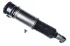 Luftfederbein Hinterachse links DENCKERMANN DSA031G