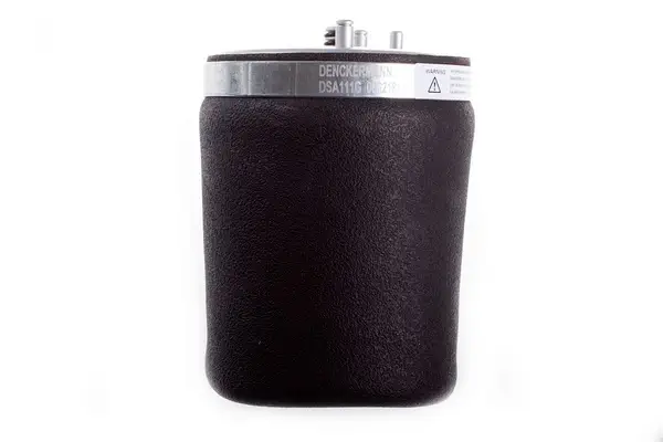 Luftfeder, Fahrwerk Hinterachse links DENCKERMANN DSA111G