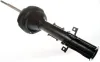 Sto&szlig;d&auml;mpfer Vorderachse Vorderachse DENCKERMANN DSB169G