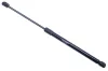 Gasfeder, Koffer-/Laderaum beidseitig DENCKERMANN G110017