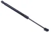 Gasfeder, Motorhaube DENCKERMANN G110053