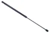 Gasfeder, Koffer-/Laderaum DENCKERMANN G110055