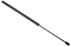 Gasfeder, Koffer-/Laderaum DENCKERMANN G110063