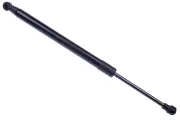 Gasfeder, Motorhaube DENCKERMANN G110065
