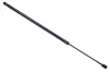 Gasfeder, Koffer-/Laderaum DENCKERMANN G110070