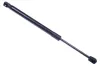 Gasfeder, Koffer-/Laderaum DENCKERMANN G110083