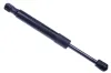 Gasfeder, Koffer-/Laderaum DENCKERMANN G110096