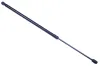 Gasfeder, Koffer-/Laderaum DENCKERMANN G110112