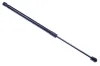 Gasfeder, Koffer-/Laderaum DENCKERMANN G110113