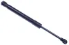 Gasfeder, Koffer-/Laderaum DENCKERMANN G110115