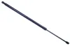 Gasfeder, Koffer-/Laderaum DENCKERMANN G110124