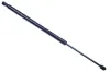 Gasfeder, Koffer-/Laderaum DENCKERMANN G110130