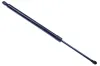 Gasfeder, Koffer-/Laderaum DENCKERMANN G110133