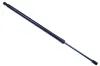 Gasfeder, Koffer-/Laderaum DENCKERMANN G110136