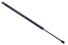 Gasfeder, Koffer-/Laderaum DENCKERMANN G110139