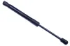 Gasfeder, Koffer-/Laderaum DENCKERMANN G110149