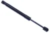 Gasfeder, Koffer-/Laderaum DENCKERMANN G110153