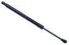 Gasfeder, Koffer-/Laderaum DENCKERMANN G110159