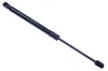 Gasfeder, Motorhaube DENCKERMANN G110160