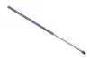 Gasfeder, Koffer-/Laderaum DENCKERMANN G110178