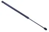 Gasfeder, Koffer-/Laderaum DENCKERMANN G110179