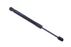 Gasfeder, Koffer-/Laderaum DENCKERMANN G110191