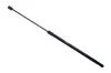 Gasfeder, Koffer-/Laderaum DENCKERMANN G110202