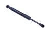 Gasfeder, Koffer-/Laderaum DENCKERMANN G110236
