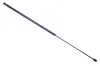 Gasfeder, Koffer-/Laderaum DENCKERMANN G110257