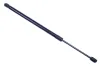 Gasfeder, Koffer-/Laderaum DENCKERMANN G110262