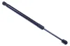 Gasfeder, Koffer-/Laderaum DENCKERMANN G110282