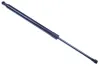 Gasfeder, Koffer-/Laderaum DENCKERMANN G110287