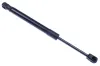Gasfeder, Motorhaube DENCKERMANN G110288