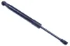 Gasfeder, Koffer-/Laderaum DENCKERMANN G110294