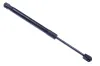 Gasfeder, Koffer-/Laderaum DENCKERMANN G110296