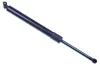 Gasfeder, Koffer-/Laderaum DENCKERMANN G110298