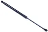 Gasfeder, Motorhaube DENCKERMANN G110309