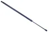 Gasfeder, Koffer-/Laderaum DENCKERMANN G110311