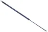 Gasfeder, Koffer-/Laderaum DENCKERMANN G110318