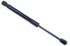 Gasfeder, Motorhaube DENCKERMANN G110319