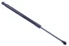 Gasfeder, Koffer-/Laderaum DENCKERMANN G110329