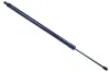 Gasfeder, Koffer-/Laderaum DENCKERMANN G110342